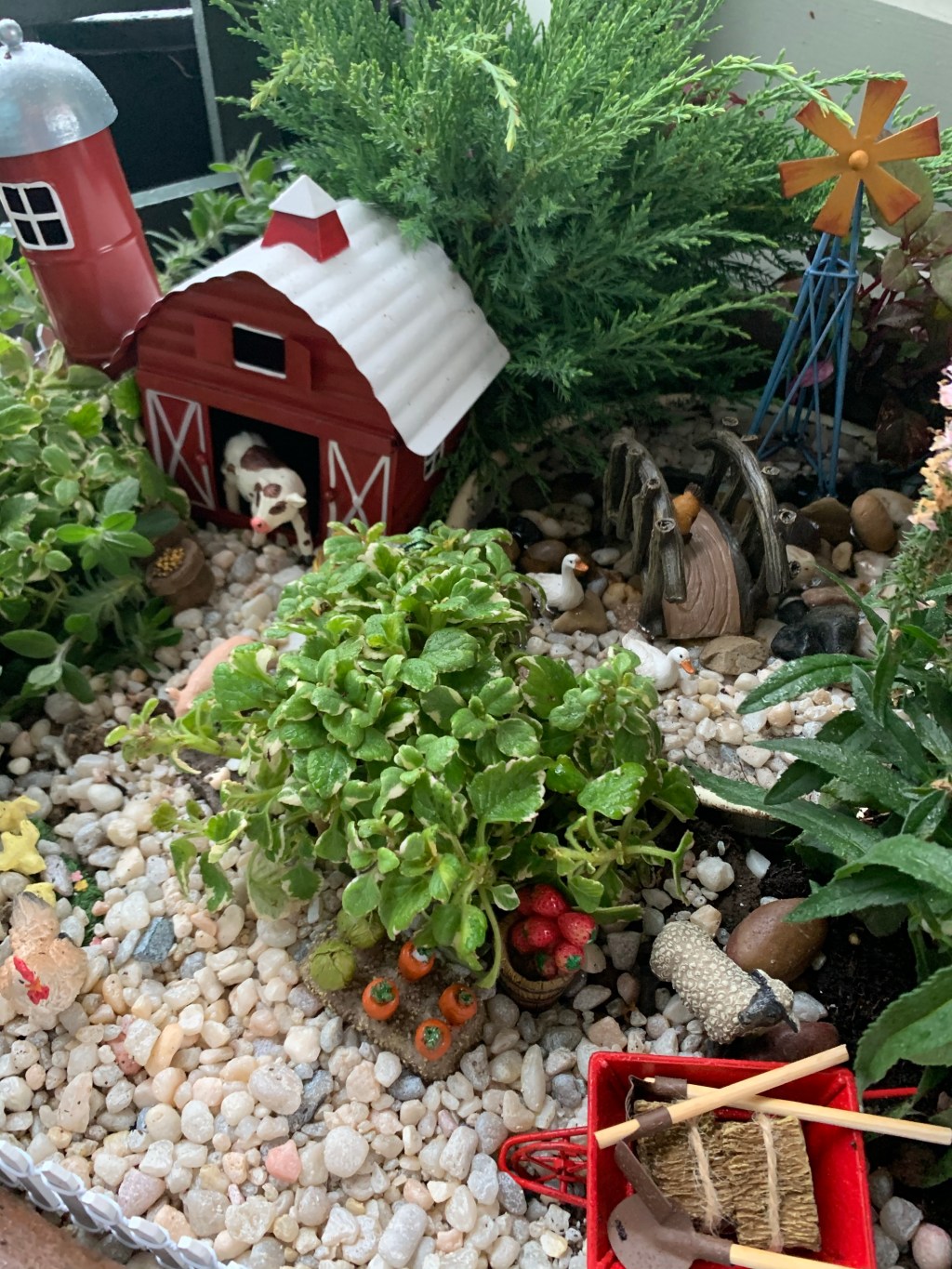 Making a Farm Style Fairy Garden