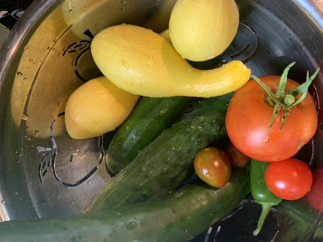 Week #8 Garden&nbsp;Tour