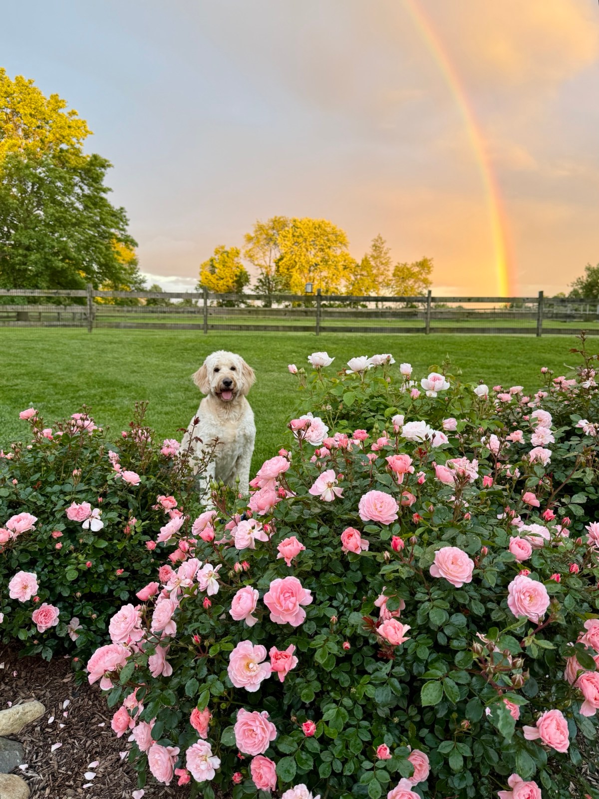 Beautiful Double Rainbow at Holland Spring&nbsp;Farm